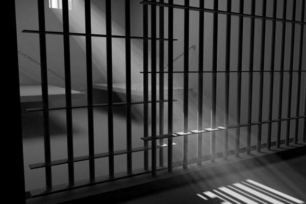 Дания будет содержать радикально настроенных заключенных в одиночных камерах